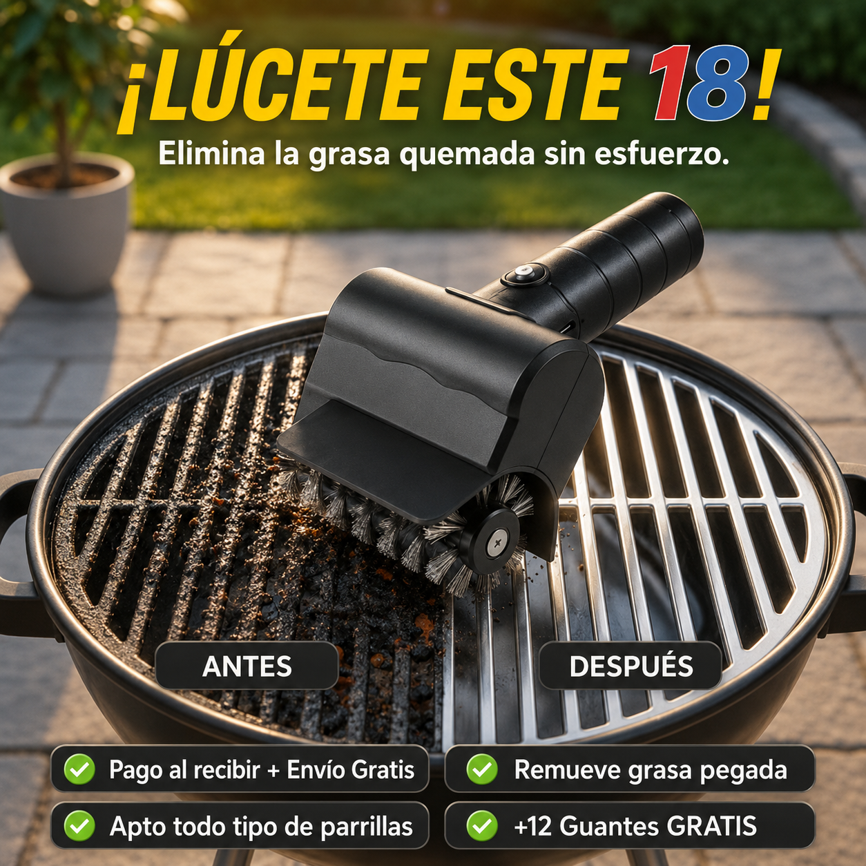 Cepillo Eléctrico Recargable + 12 Pares de Guantes GRATIS