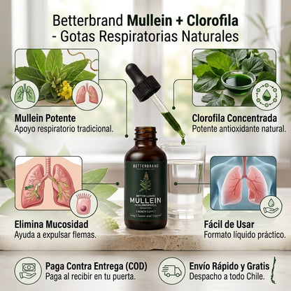 Betterbrand Mullein + Clorofila — Gotas 60 ml